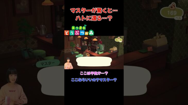 マスターが驚くと…ハトに還る…？【あつまれ どうぶつの森(おすそ分け・2人プレイ)】#shorts #あつ森 #animalcrossing #夫婦実況 #ゲーム実況