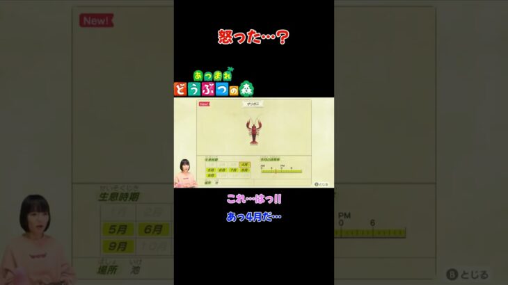 怒った…？【あつまれ どうぶつの森(おすそ分け・2人プレイ)】#shorts #あつ森 #animalcrossing #夫婦実況 #ゲーム実況