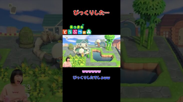 びっくりした…【あつまれ どうぶつの森(おすそ分け・2人プレイ)】#shorts #あつ森 #animalcrossing #夫婦実況 #ゲーム実況