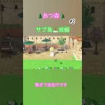 【#あつ森】【 #あつまれどうぶつの森 #あつ森島クリエイター #あつ森神曲】サブ島#3島クリ城編🏝️