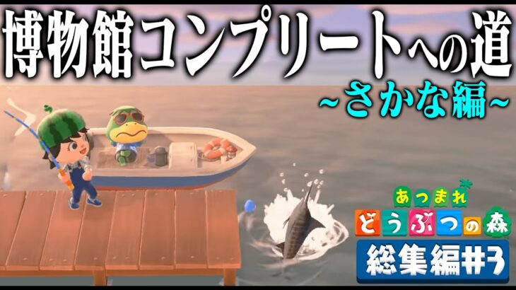 ドコムスの「あつまれどうぶつの森～博物館コンプリート～さかな編」総集編#3【ドコムス切り抜き】