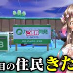 【あつ森】感激！新しい島で初めての離島ガチャ！すごく嬉しい出会いがあったよ【あつまれどうぶつの森 るいぼす島編 #3】