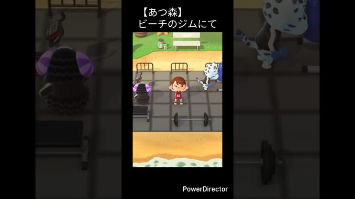 【あつ森】ビーチのジムで鍛える3人ｗ #shorts #あつまれどうぶつの森 #あつ森
