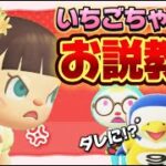 【あつ森アニメ】いちごちゃんが説教!?コンビ結成なるか？/ストロベリーホームパパ（あつまれどうぶつの森）34話