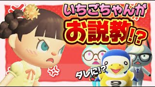 【あつ森アニメ】いちごちゃんが説教!?コンビ結成なるか？/ストロベリーホームパパ（あつまれどうぶつの森）34話