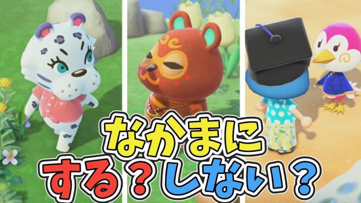 たぬきガチャ?それとも離島ガチャ?住民を3人仲間にするぞ【switch2で始めるあつ森新生活】
