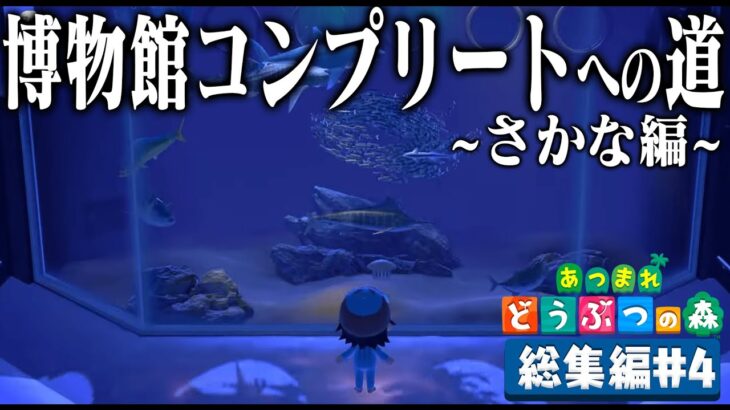 ドコムスの「あつまれどうぶつの森～博物館コンプリート～さかな編」総集編#4【ドコムス切り抜き】