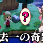 【あつ森】今までで１番の奇跡！離島ガチャで信じられない事が起こった日　【あつまれどうぶつの森 るいぼす島編 #4】