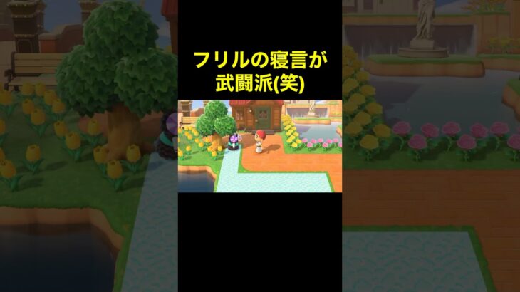 【フリルの寝言(笑)あつ森#441】#shorts#switch#あつ森#あつまれどうぶつの森#ゲーム