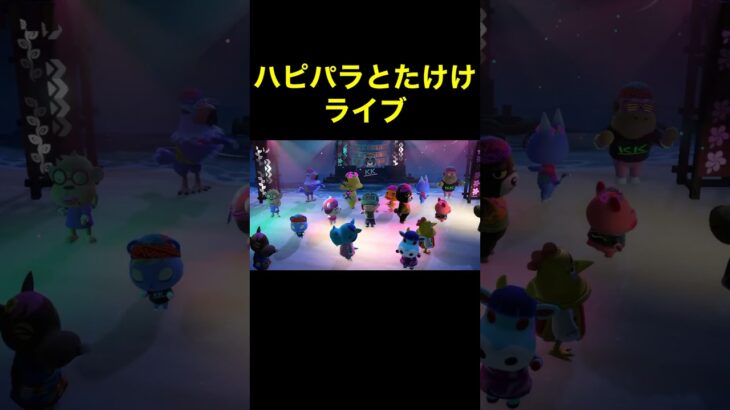 【ハピパラとたけけライブあつ森#446】#shorts#switch#あつ森#あつまれどうぶつの森#ゲーム