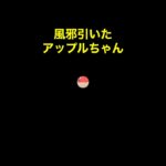 【風邪引いたアップルあつ森#453】#shorts#switch#あつ森#あつまれどうぶつの森#ゲーム