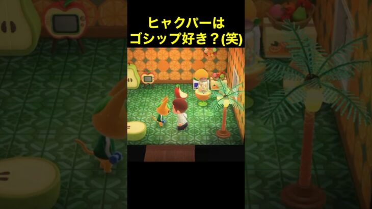 【ヒャクパーのゴシップ(笑)あつ森#455】#shorts#switch#あつ森#あつまれどうぶつの森#ゲーム