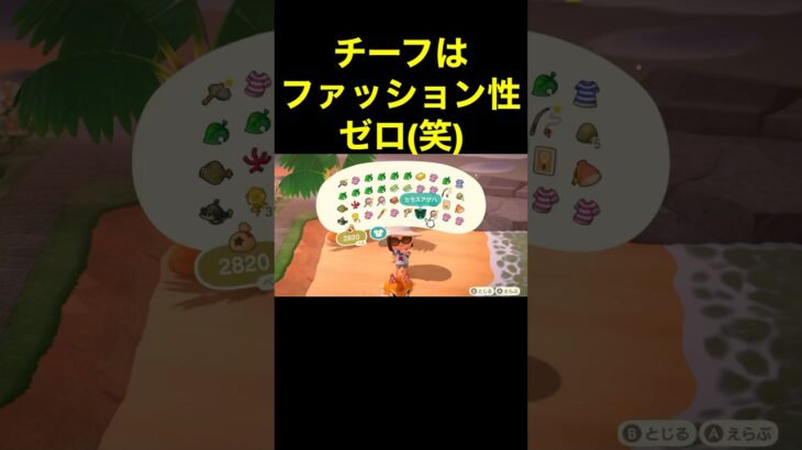 【チーフのファッション性(笑)あつ森#458】#shorts#switch#あつ森#あつまれどうぶつの森#ゲーム