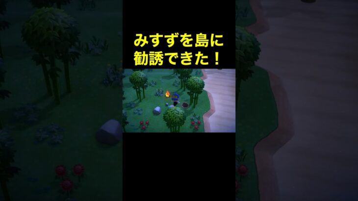 【みすずを島に勧誘♪あつ森#465】#shorts#switch#あつ森#あつまれどうぶつの森#ゲーム