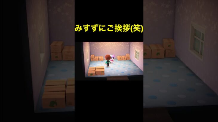【みすずにご挨拶(笑)あつ森#466】#shorts#switch#あつ森#あつまれどうぶつの森#ゲーム