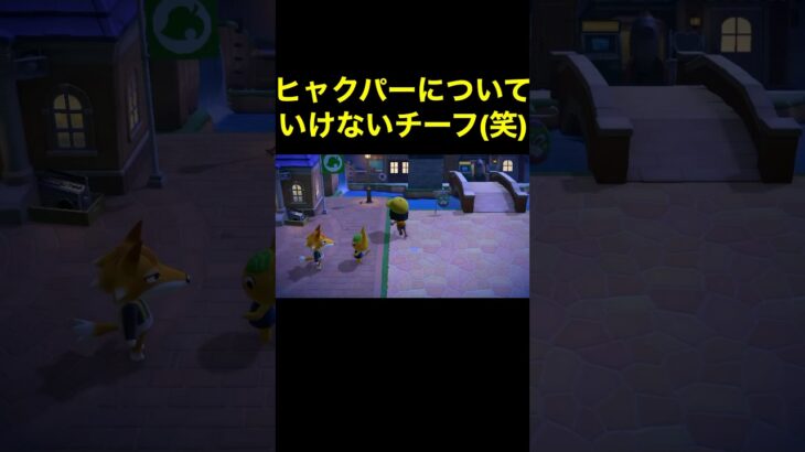 【ヒャクパーとチーフ(笑)あつ森#467】#shorts#switch#あつ森#あつまれどうぶつの森#ゲーム