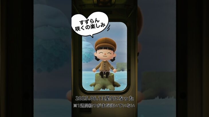 あつまれどうぶつの森【レインボー島評価星5‼︎すずらんを待つ】 #ベイビーやしのき大冒険 #あつ森b.y.d