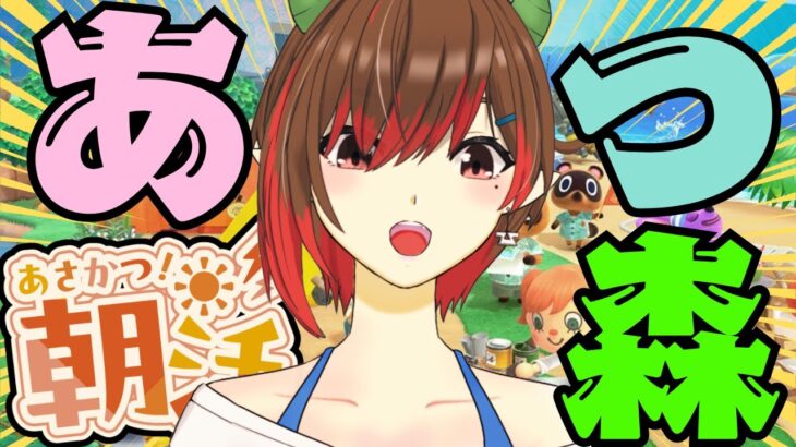 【朝活】今週は土曜！朝活あつ森！高評価50挨拶50めざしています！～ムシとり大会すっぞ！～(2025.6.28)