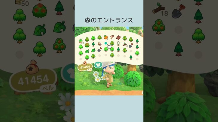 【あつ森】60秒島クリ🌳森のエントランス #shorts #あつまれどうぶつの森 #あつ森 #島クリエイト