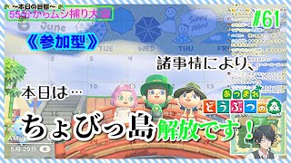 【あつ森参加型】本日、からあげべん島は工事中につき。#61【まったりやります】