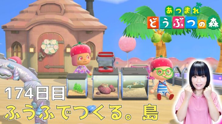 6月から出てきた海の幸たくさん取れたよー【虫捕り・釣り・ちょろきちのお家へ・タヌキ商店・フータに寄贈・仕立て屋】ふうふでつくる。島《174日目》【あつまれ どうぶつの森(おすそ分け・2人プレイ)】