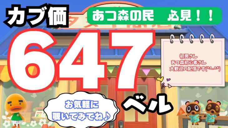 あつ森！最高カブ価647ベル無償開放中！ あつまれどうぶつの森【視聴者参加型】