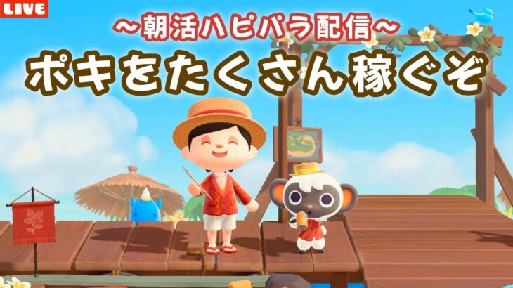 【あつ森】元気に朝活ハピパラ！6×6縛りレイアウトでポキを稼ぐLIVE配信！【あつまれ どうぶつの森】