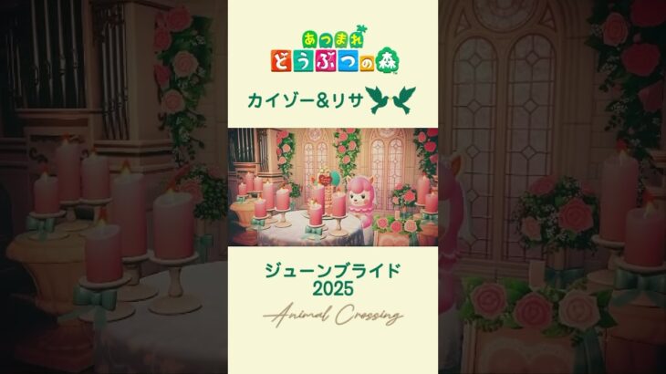あつ森🌴6月の花嫁の伝承June bride.お似合いの2🦙🩵💍🩷#あつ森 #animalcrossing #結婚式 #shorts