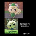 #マリオカート8dx & #あつまれどうぶつの森  あつ森とマリカー住民が似ているか比較してみました