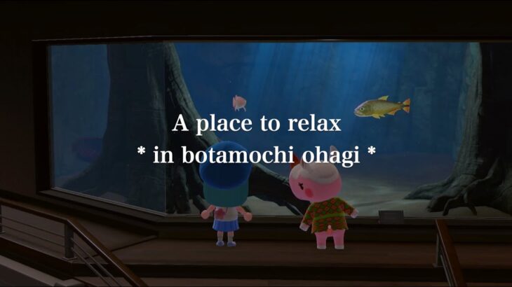 【ASMR/BGM#02】あつまれどうぶつの森（博物館 水族館 アクアリウム) 作業用/勉強用に♪