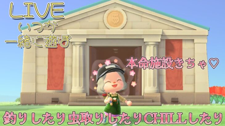 【あつまれどうぶつの森】楽しすぎて爆速無人島開発。博物館を充実させていく【Animal Crossing】