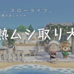 【睡眠・作業用BGM】あつ森雑談ラジオ｜大好きなムシ取り大会の日《まったり島生活配信》