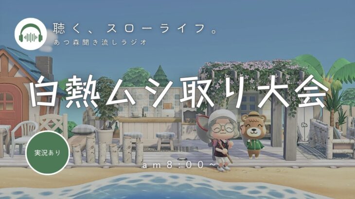 【睡眠・作業用BGM】あつ森雑談ラジオ｜大好きなムシ取り大会の日《まったり島生活配信》