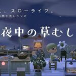 【睡眠・作業用BGM】あつ森雑談ラジオ｜草をむしるのも夜活_AM1時のBGM《まったり島生活配信》