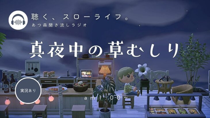 【睡眠・作業用BGM】あつ森雑談ラジオ｜草をむしるのも夜活_AM1時のBGM《まったり島生活配信》
