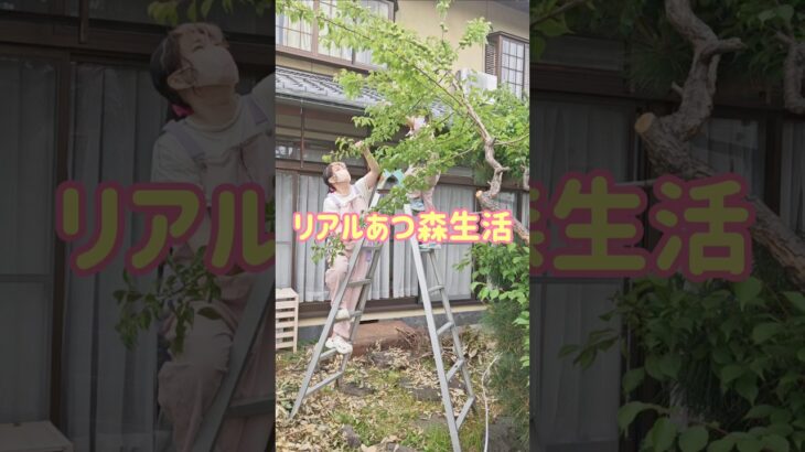 【リアルあつ森生活】#ガーデニング#DIY#梅仕事#庭づくり#リアルあつ森生活