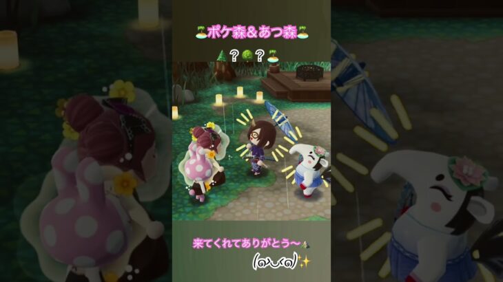 【#ポケ森#あつ森】【#ポケ森コンプリート #ポケ森ガチ勢 #あつまれどうぶつの森 #ハピパラ #DJKK】🏝️何が始まるかな？