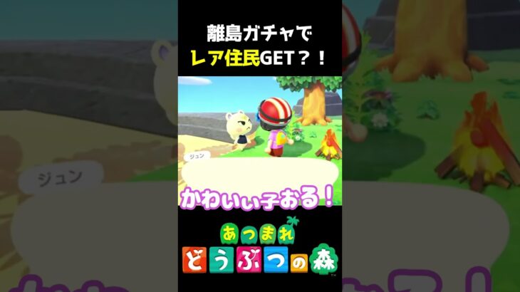 【 #あつ森 】離島ガチャでレア住民GET？！　 #shorts #あつまれどうぶつの森  #切り抜き #ゲーム実況 #ゲーム #けいとかんな劇場 #animalcrossing