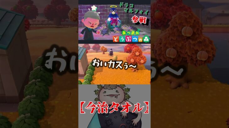 あつ森【今治タオル】#どうぶつの森#あつ森#あつまれどうぶつの森#切り抜き#かふぃー#かふ#Kafyee