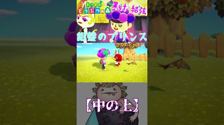 あつ森【中の上】#どうぶつの森#あつ森#あつまれどうぶつの森#かふぃー#かふ#Kafyee