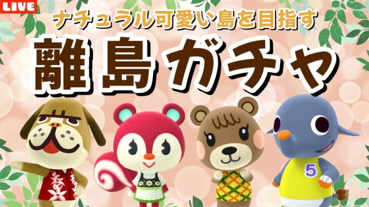 【あつ森】続・可愛い住民探す離島ガチャ！ナチュラルかわいい島クリを目指すLIVE配信！【あつまれ どうぶつの森】