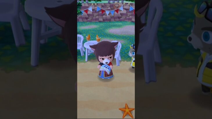 M_250619-B #AnimalCrossing #AnimalCrossingNewHorizons #ポケ森 #PocketCamp #acnh #ゲーム #あつ森 #Games #動物森友會