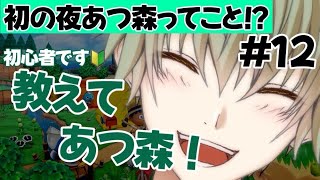 【あつ森】初めての夜体験！誕生月企画の夜あつ森配信！！１２日目の生活！完全初見のあつまれどうぶつの森を遊びたい！PART１２【男性Vtuber】【ゲーム配信】
