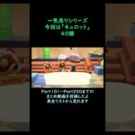 【あつ森】　一気売り シリーズ  Part1443 今回は 【キュロット】 40個 いくらか分かるかい？
