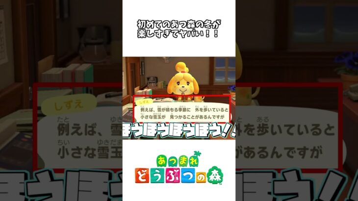 【あつ森】(Part94)人生初のどうぶつの森で初めて雪を見て大興奮www【初見プレイ】#shorts #ゲーム実況 #あつまれどうぶつの森 #あつ森