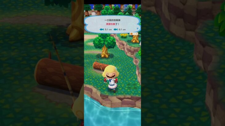 R_250518-3 #AnimalCrossing #AnimalCrossingNewHorizons #ポケ森 #PocketCamp #acnh #ゲーム #あつ森 #Games #動物森友會