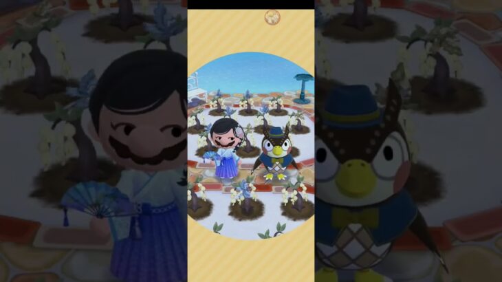 R_250609-B #AnimalCrossing #AnimalCrossingNewHorizons #ポケ森 #PocketCamp #acnh #ゲーム #あつ森 #Games #動物森友會