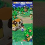 R_250610-A #AnimalCrossing #AnimalCrossingNewHorizons #ポケ森 #PocketCamp #acnh #ゲーム #あつ森 #Games #動物森友會