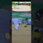 R_250615-A #AnimalCrossing #AnimalCrossingNewHorizons #ポケ森 #PocketCamp #acnh #ゲーム #あつ森 #Games #動物森友會