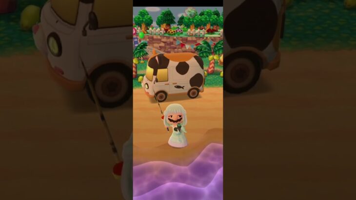 R_250615-H #AnimalCrossing #AnimalCrossingNewHorizons #ポケ森 #PocketCamp #acnh #ゲーム #あつ森 #Games #動物森友會